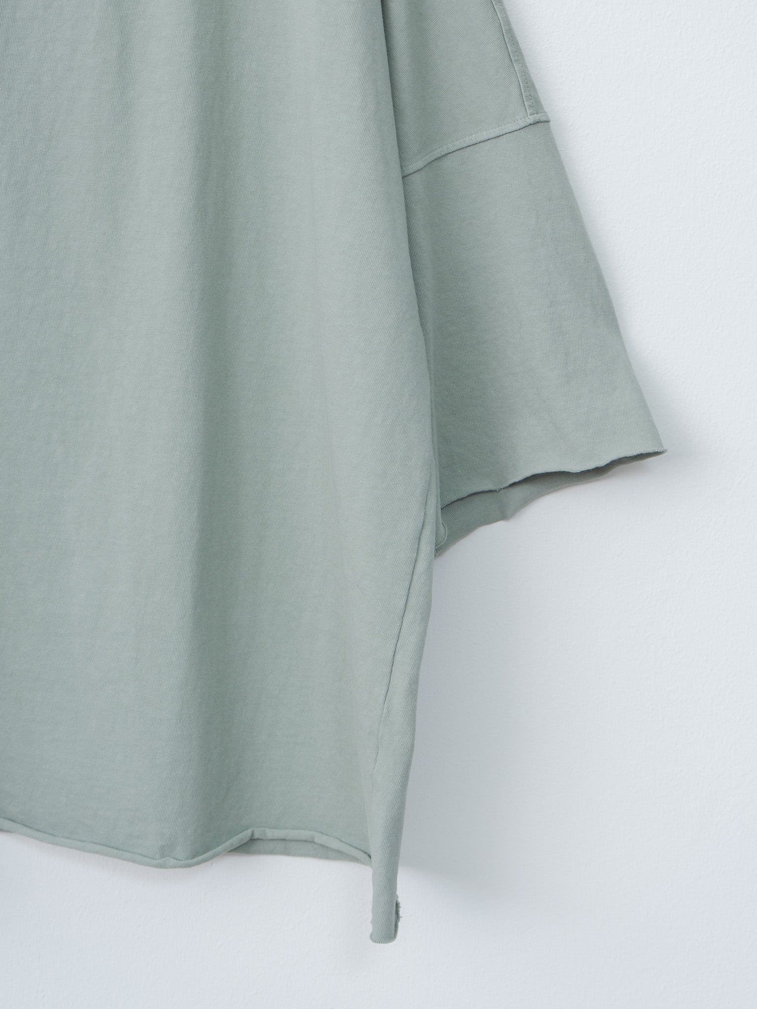 Namu Shop - Album di Famiglia Boxy Big T-Shirt HC - Sage