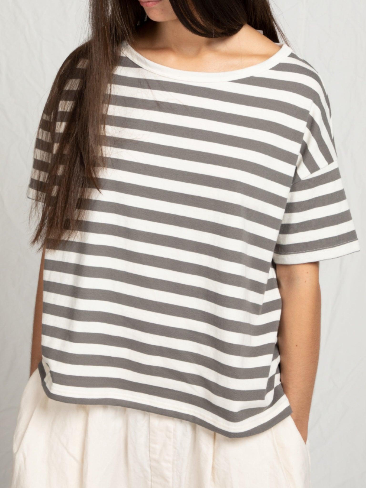 Namu Shop - Album di Famiglia T-Shirt Riga - Stone Gray